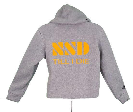 Nothing Stops Detroit Women's Gray with Orange Text Crop Top Neon Sign Long Sleeve Hoodie